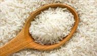 تحقیق مهمترين بيماري هاي برنج