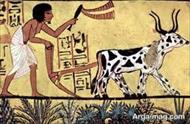 تحقیق تاریخچه کشاورزی در جهان